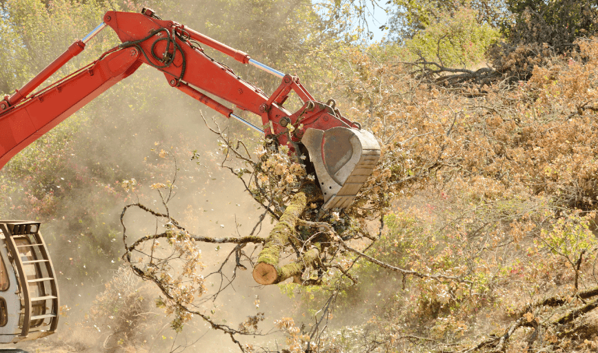 LAND CLEARING